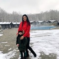 ���������� #2297349