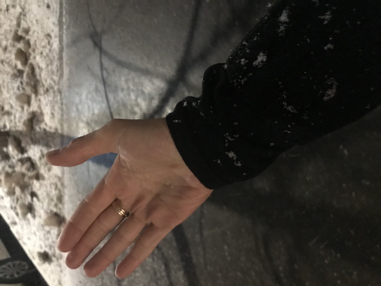 ���������� #2297403