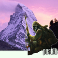 Poshik
