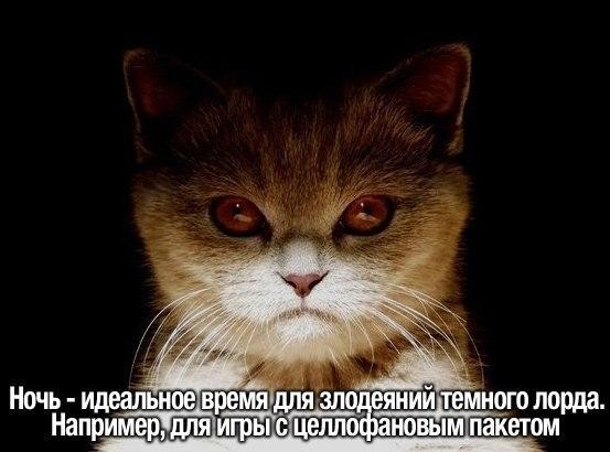 ���������� #2290816