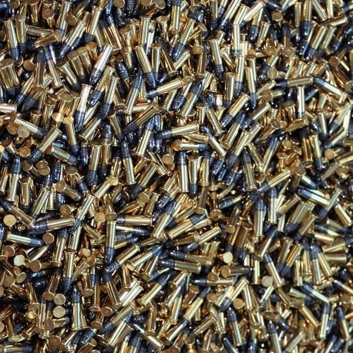 .22 LR - ��� �������)