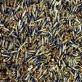 .22 LR - ��� �������)