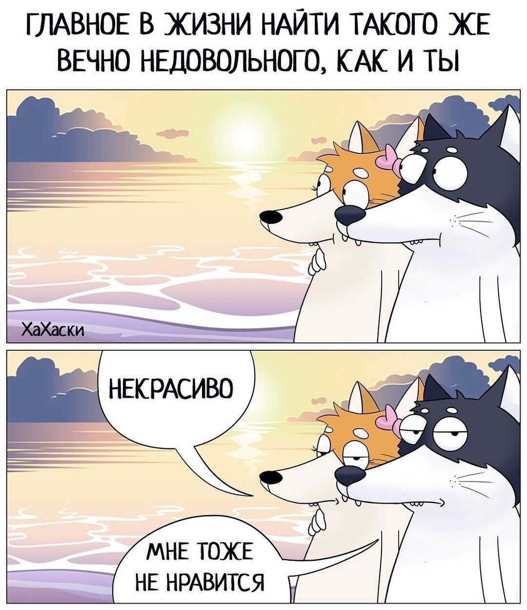 ���������� #2298320