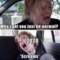 2022�� ���� ��������, � ������ ����.