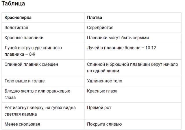 ������ VS ����������