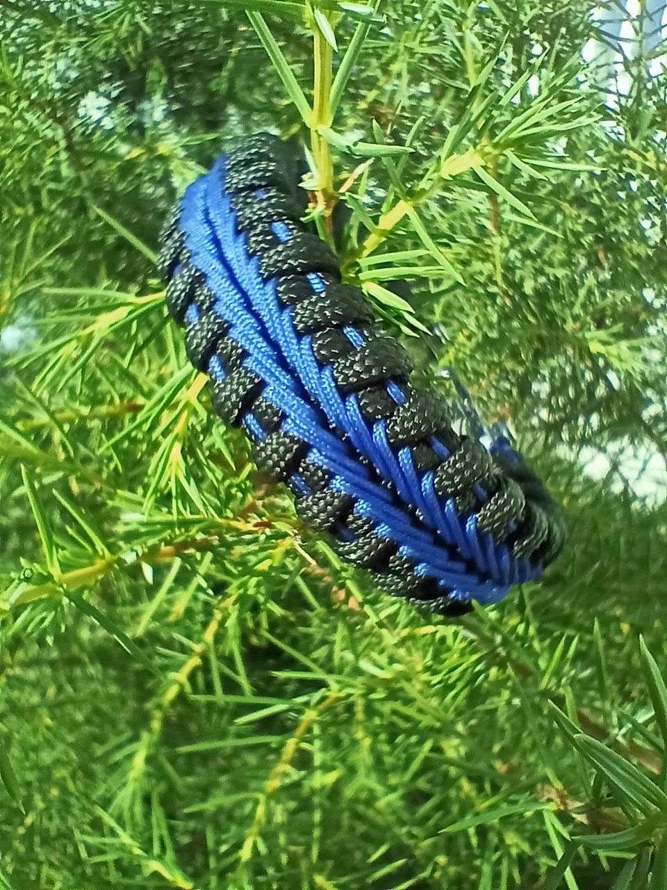 ����� �������