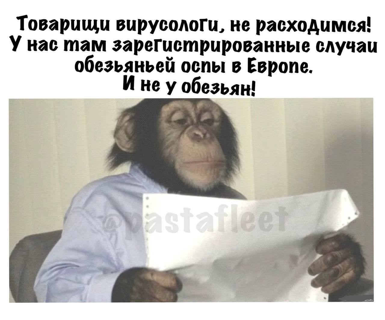 ������� ���������