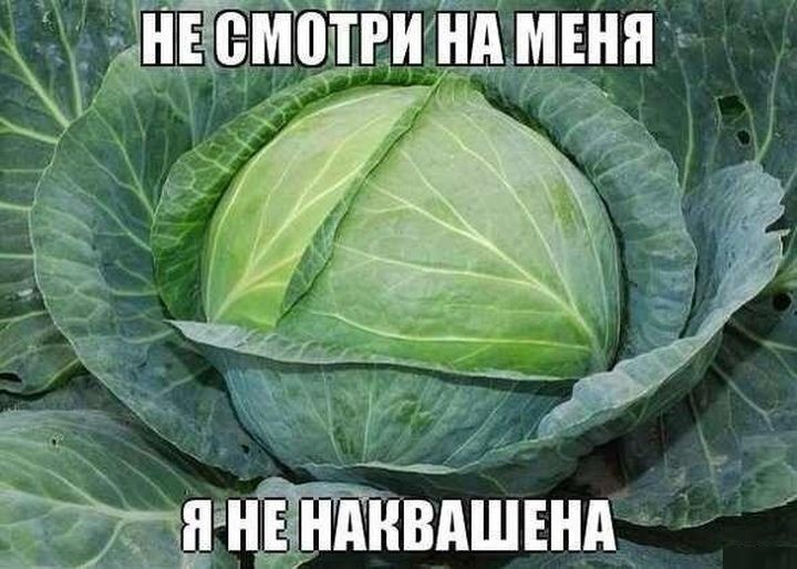���������� #2030377