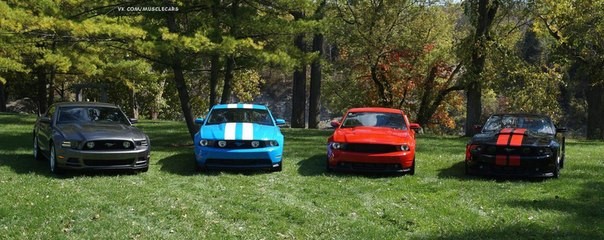 ���������� #2036722
