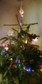 Merry X-mas & Happy New Year )))