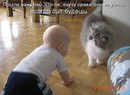 ���������� #2037838