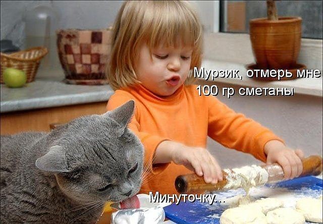 ���������� #2037848