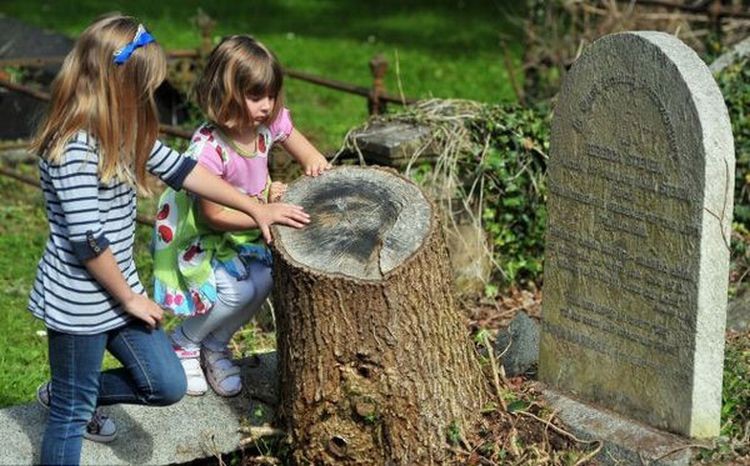 �� ���������� �������� � �������� "Belfast City Cemetery" ���������� ������� ������, �������� ����� ����� �� �����, � ����� ������� ���, �� � ������� �� ������ ���� ���� �������. ������� ������ ���������� �� ����� �����. ��������� ������� ��� ��