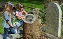 �� ���������� �������� � �������� "Belfast City Cemetery" ���������� ������� ������, �������� ����� ����� �� �����, � ����� ������� ���, �� � ������� �� ������ ���� ���� �������. ������� ������ ���������� �� ����� �����. ��������� ������� ��� ��