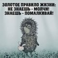 ���������� #2300021