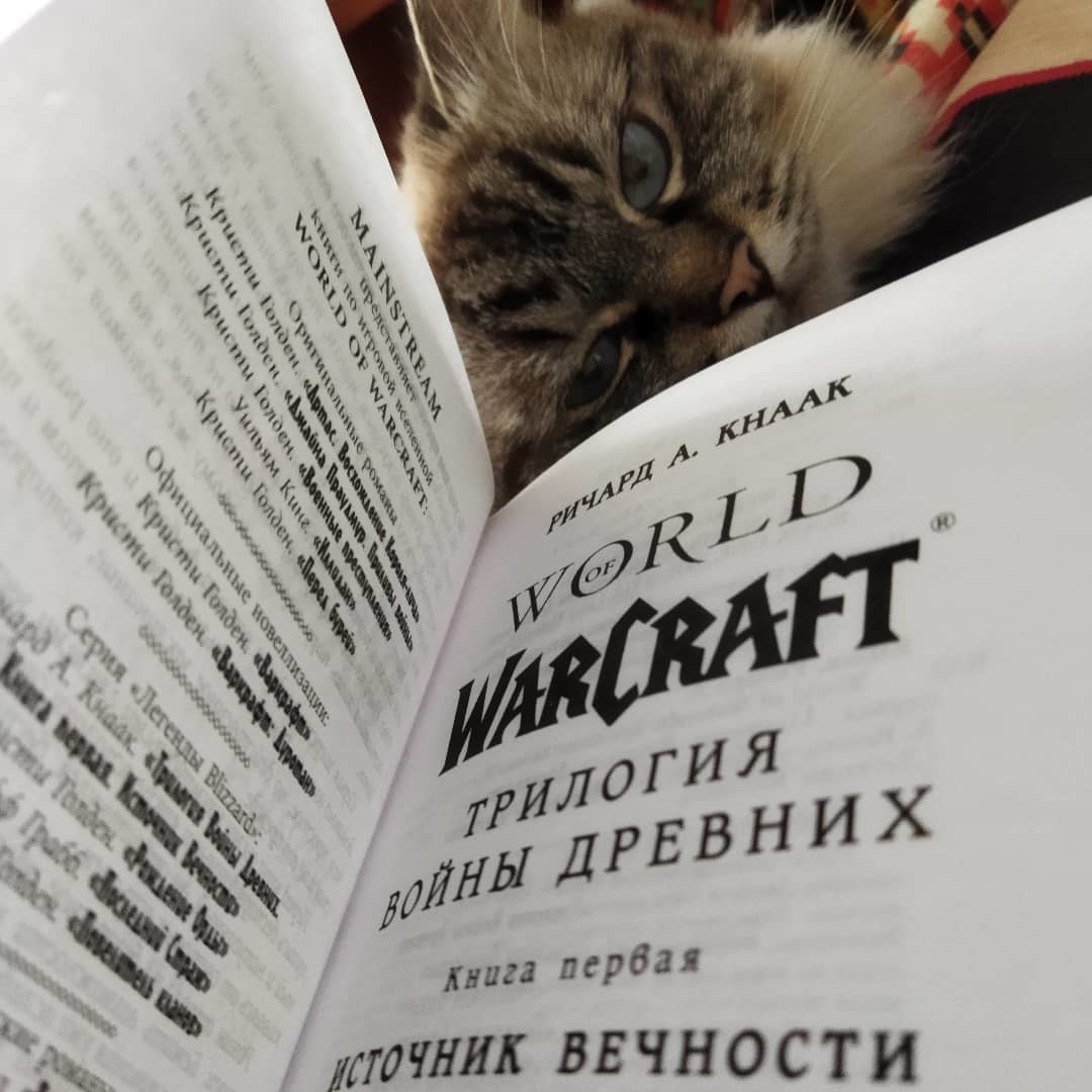 ���������� #2301271