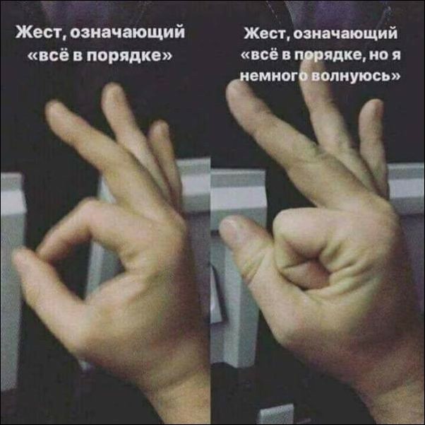 ���������� #2301469