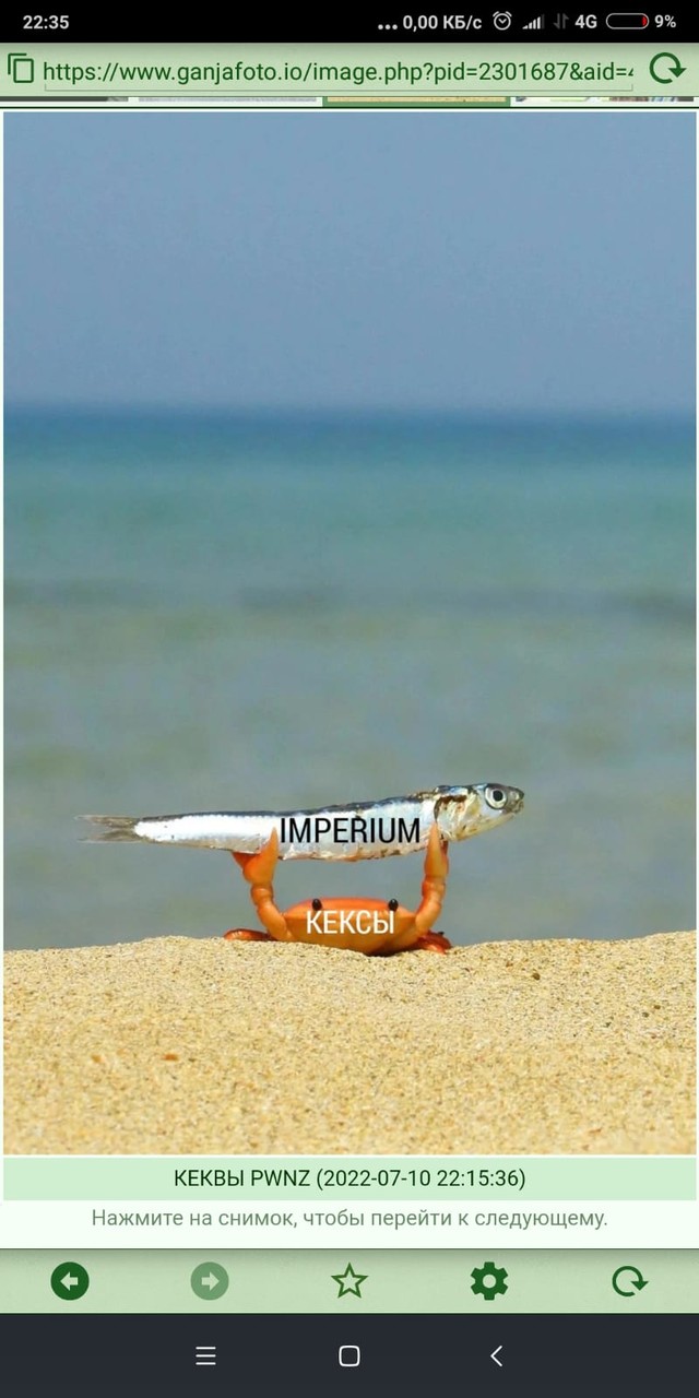 10.07.22  �������, �� ��)