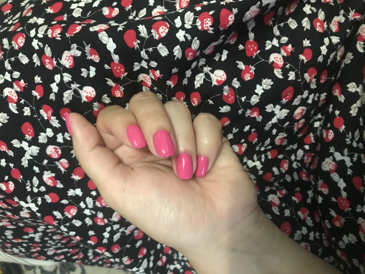���������� #2301798