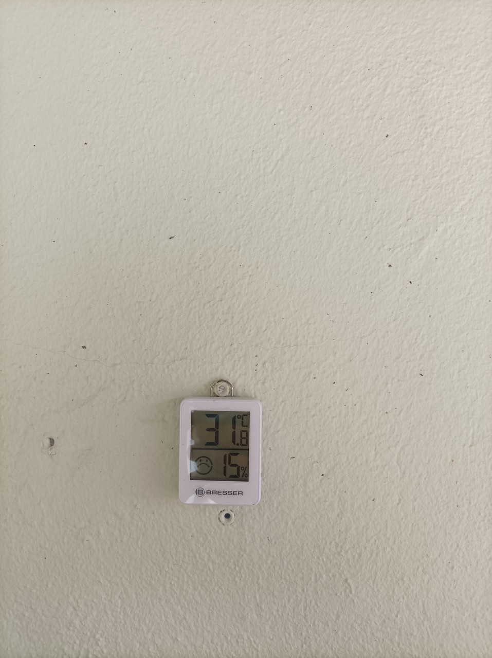 ���������� #2301942