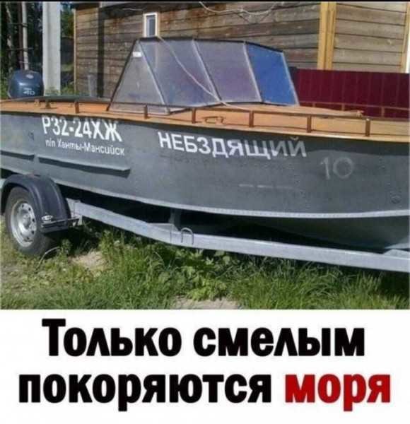 ���������� #2302027