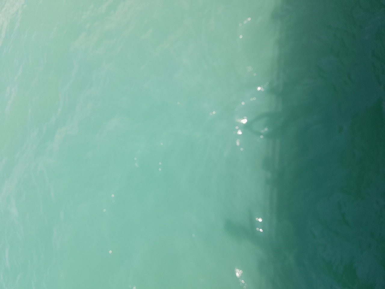 ���������� #2302291