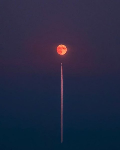 ���������� #2302748
