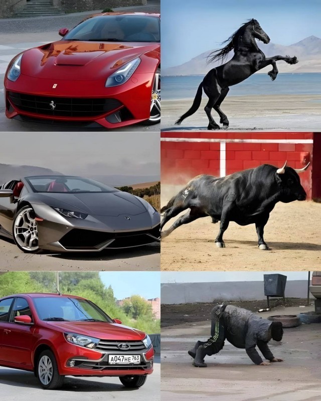 ���������� #2302814
