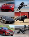 ���������� #2302814