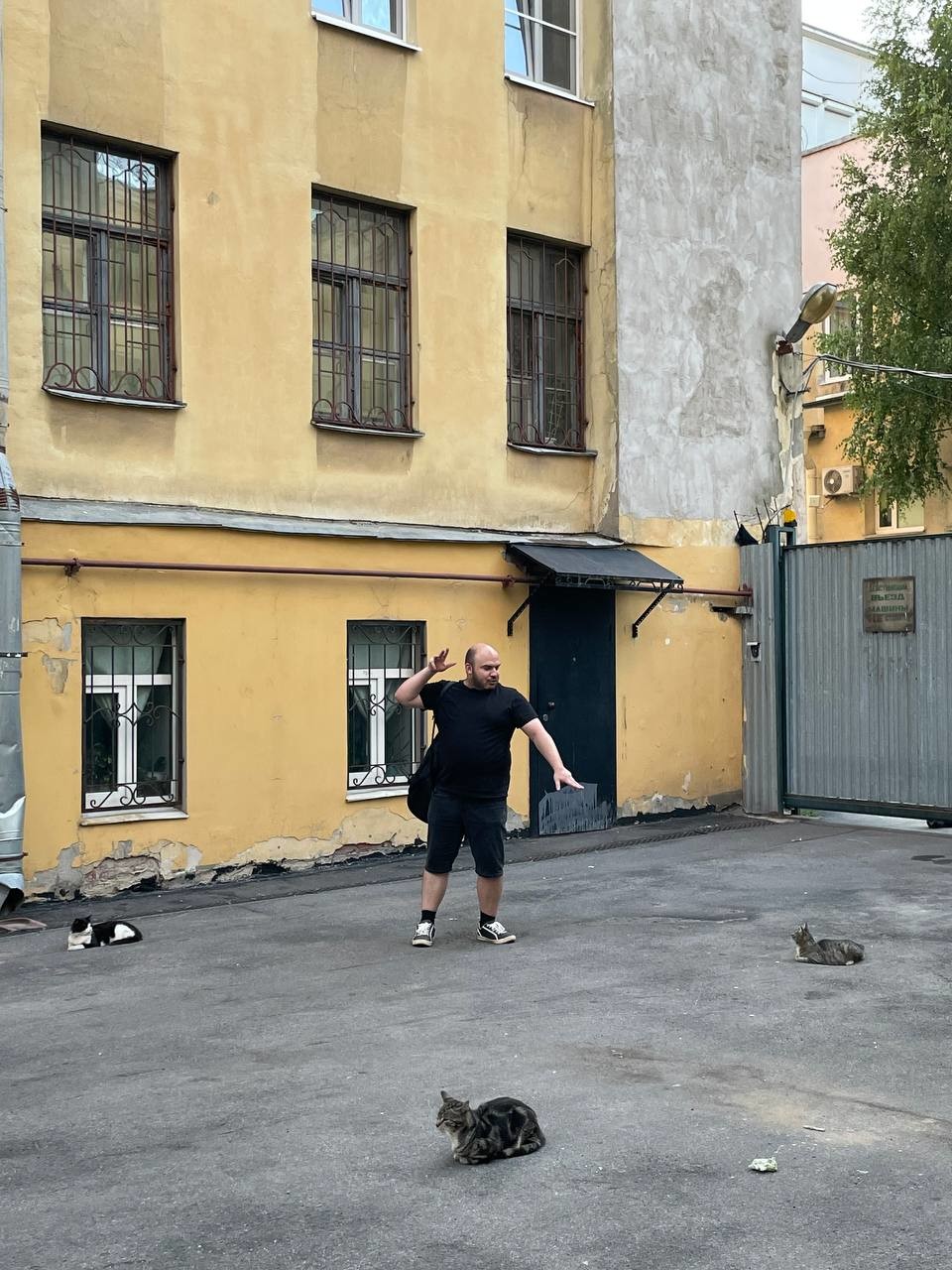 ���������� #2302925