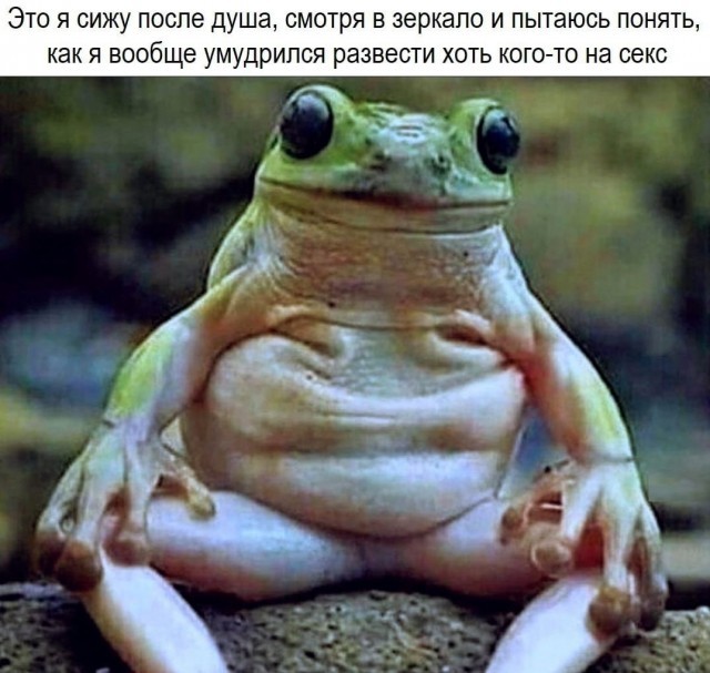 ���������� #2302976