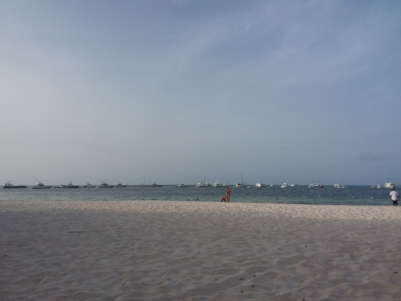 Domrep 22