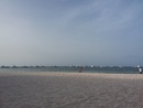Domrep 22