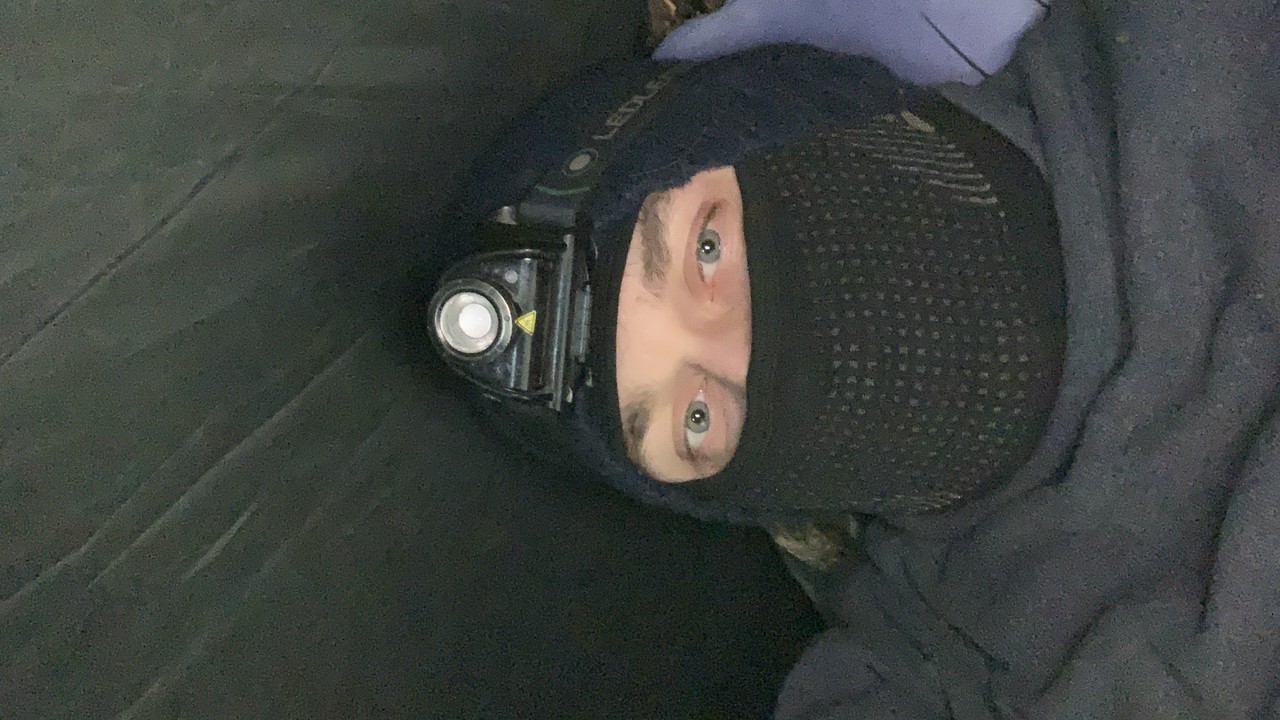 ���������� #2303272