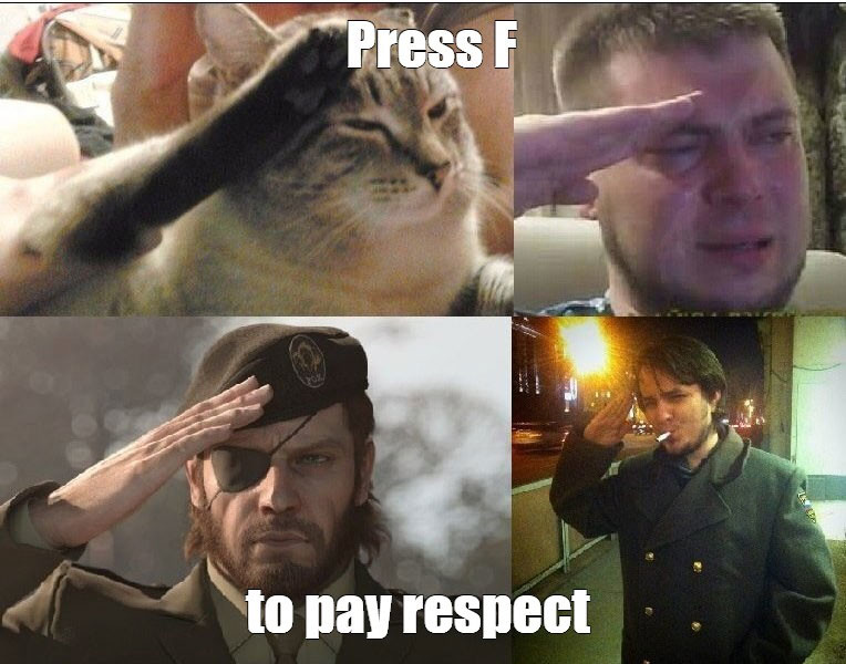 ���������� #2303364