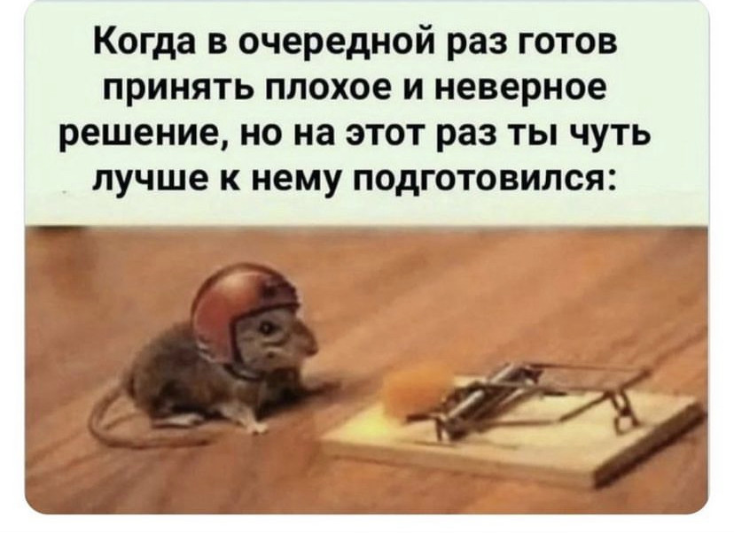 ���������� #2303738