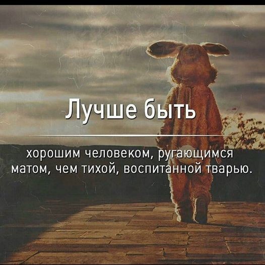 ���������� #2304230