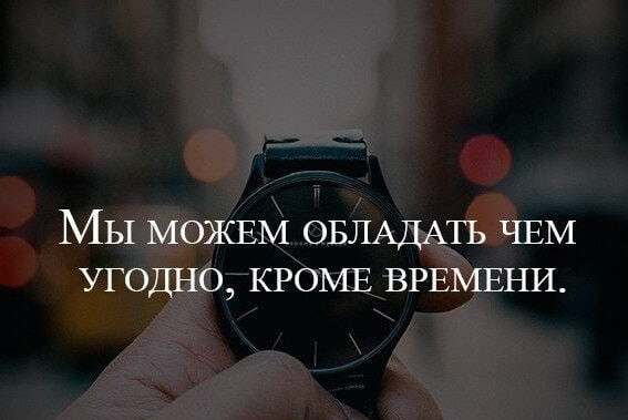 ���������� #2304264