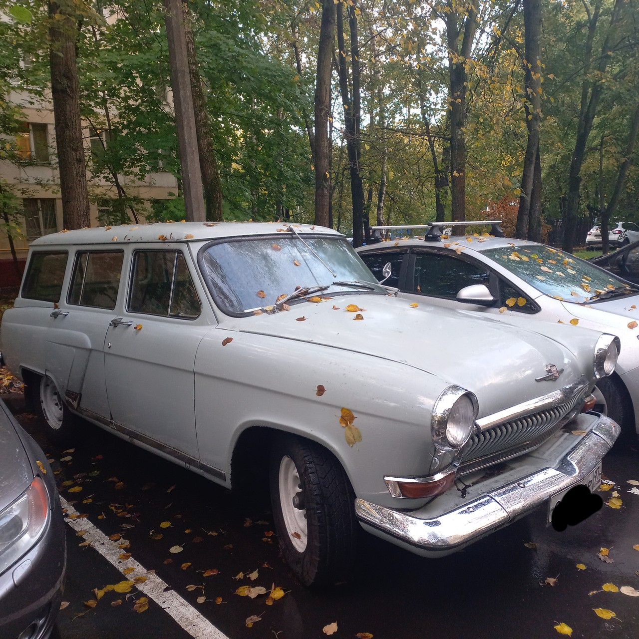���������� #2304657