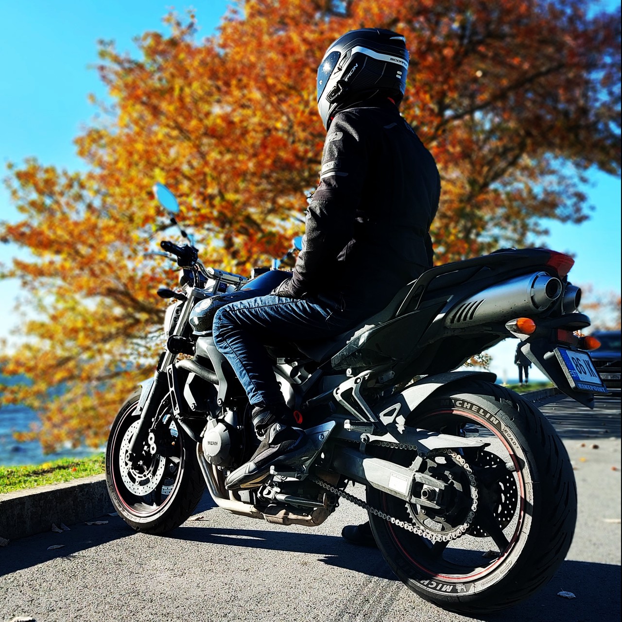 ���������� #2304877