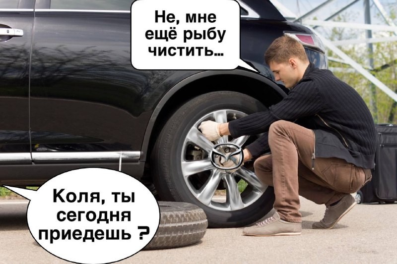 ���������� #2304896