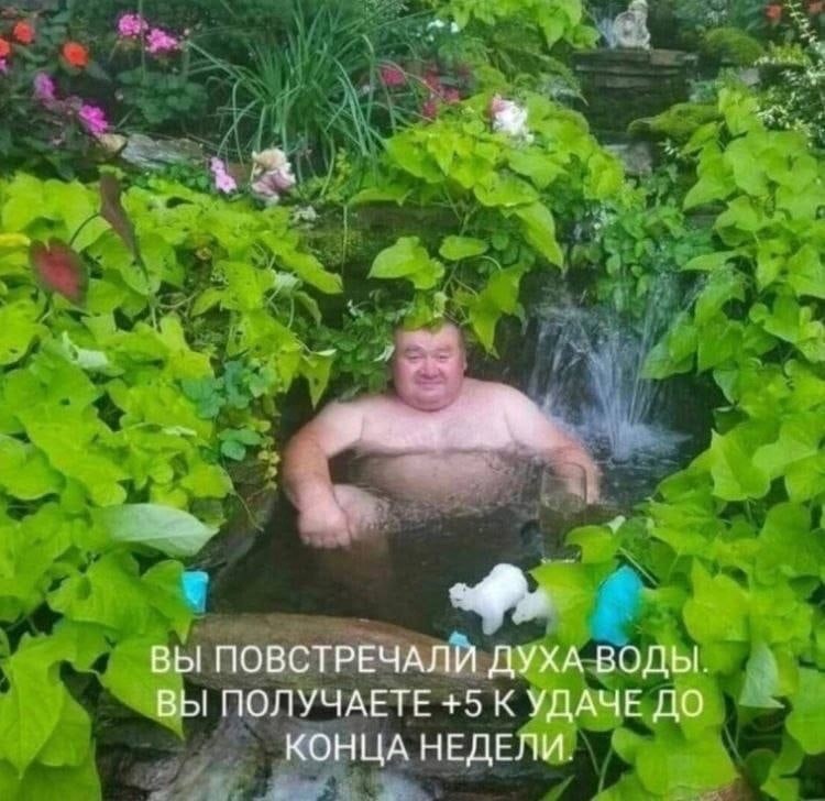 ���������� #2304938