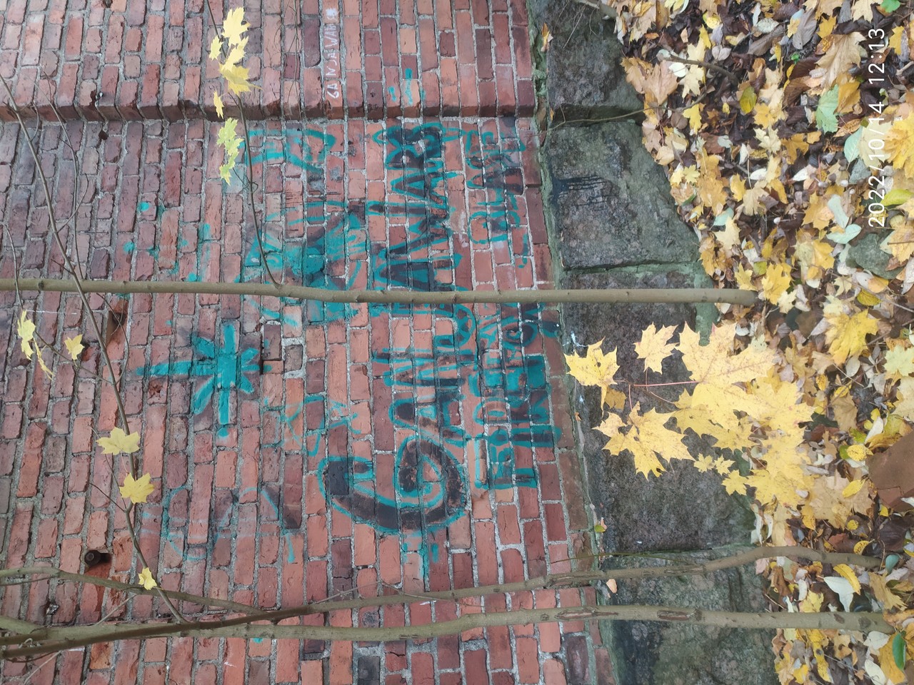 ���������� #2304955