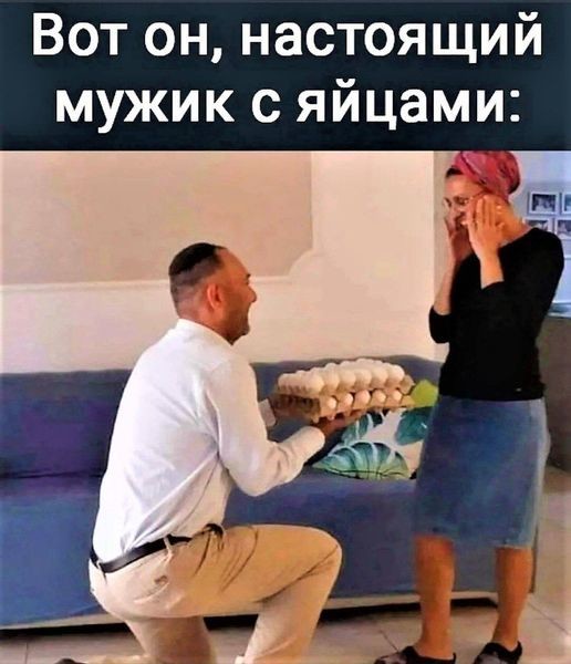 ���������� #2304969
