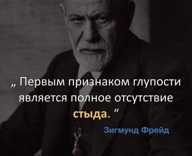 ���������� #2304978