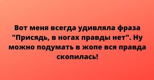 ���������� #2304979