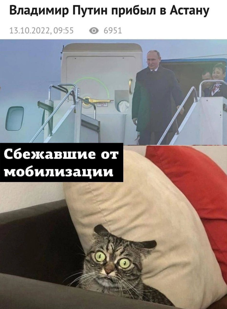 ���������� #2305025