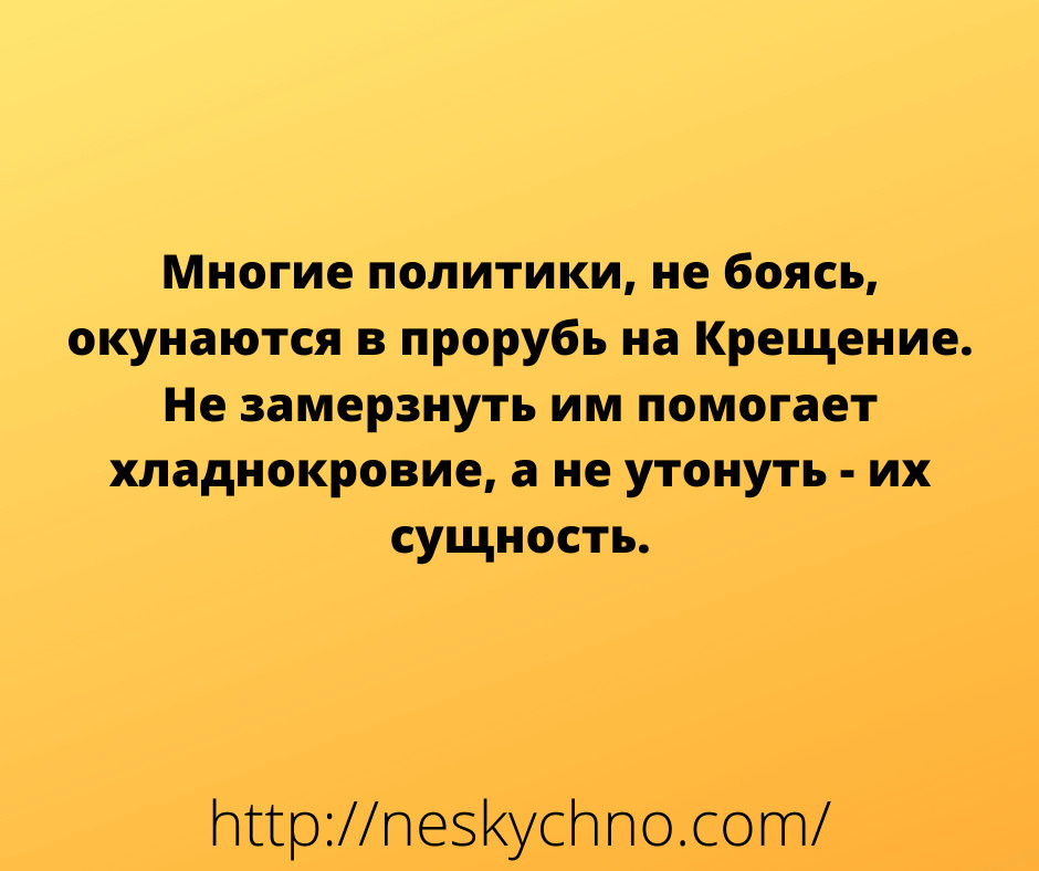 ���������� #2305028