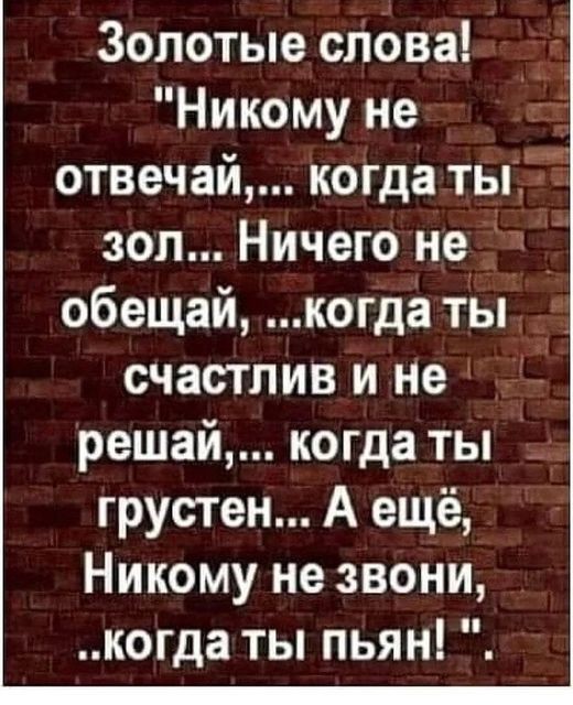 ���������� #2305046