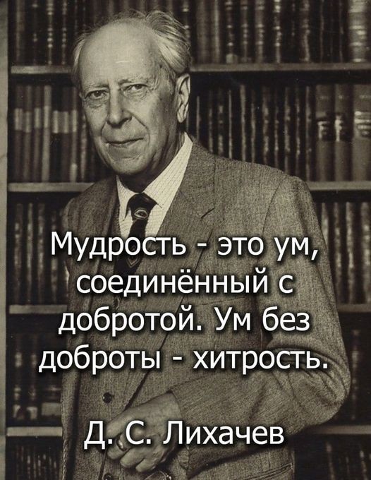 ���������� #2305266